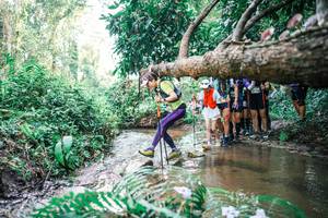 BIB: 
                            <button type="button" onclick="openModal(25475452)" class="btn btn-primary btn-sm float-right btn-popup" data-toggle="modal" data-target=".modal-high-quality">
                        <i class="fas fa-shopping-cart"></i> Add to Cart
                    </button>
                                            <button type="button" onclick="isThisMe(25475452, true)" class="btn btn-success btn-sm float-right btn-popup btn-isme hidden" data-toggle="tooltip" data-placement="bottom" title="นี่คือรูปของคุณใช่ไหม คลิกที่นี่เพื่อเอาเข้าอัลบั้ม">
                        <i class="fas fa-plus"></i> Add to album
                    </button>
                    <button type="button" onclick="isThisMe(25475452, false)" class="btn btn-warning btn-sm float-right btn-popup btn-isnotme hidden">
                        <i class="fas fa-ban"></i> Remove from album
                    </button>